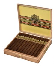 ASHTON VSG SORCERER box of 24