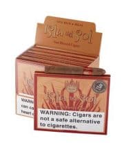 ISLA DEL SOL BREVE NATURAL TIN