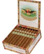 SAN CRISTOBAL ELEGANCIA CHURCHILL