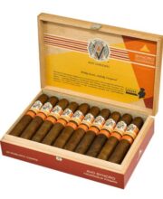 AVO SYNCRO FOGATA ROBUSTO