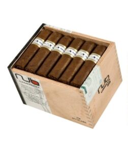 Box of 24 +8 PACK SAMPLER + OLIVA TUMBLER