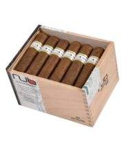 NUB BY OLIVA CAMEROON 460