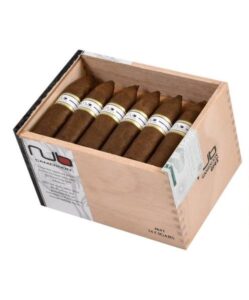 Box of 24 +8 PACK SAMPLER + OLIVA TUMBLER