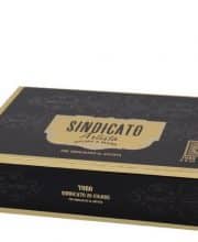 SINDICATO ARTISTA TORO