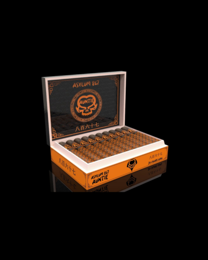 Asylum 867 Auntie - portrait