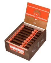 CAO FASA SOL GIGANTE