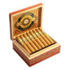 PERDOMO LEGACY CONNECTICUT GORDO