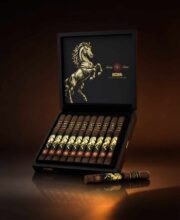 Rocky Patel Year of the Horse