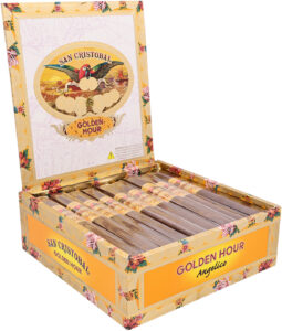 Box of 25
